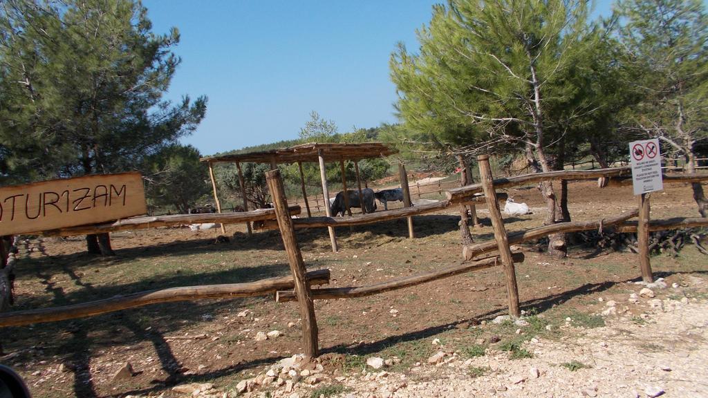 Guest House Accommodation Rupine Premantura Exterior photo